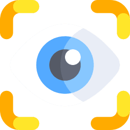 Vision